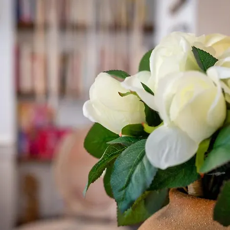 Valere Nid D'amour Pour 2 Proche Cathedrale Apartment