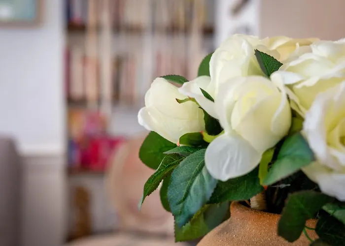 Valere Nid D'amour Pour 2 Proche Cathedrale Apartment